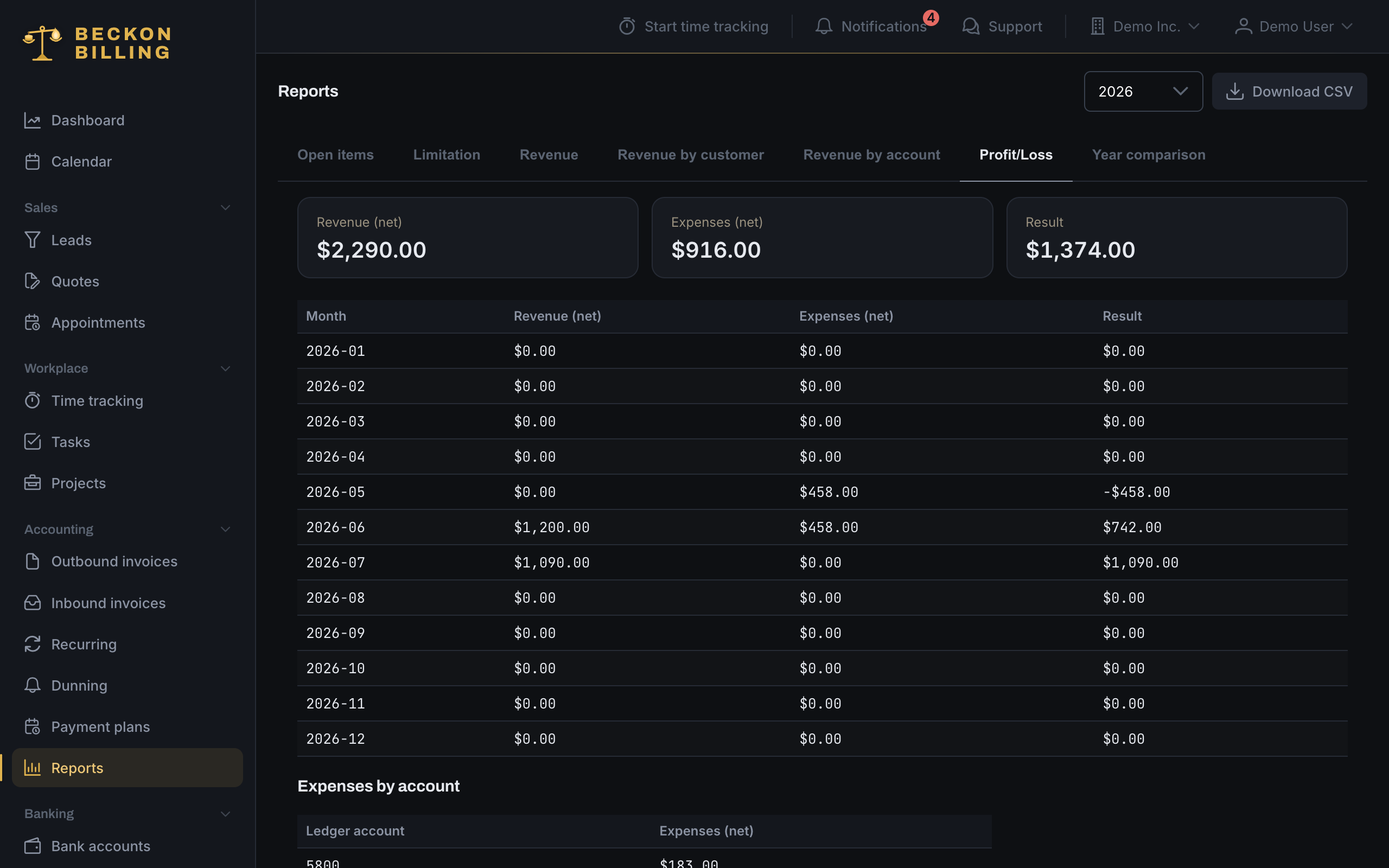 Profit-and-loss report with revenue, expenses and result per month